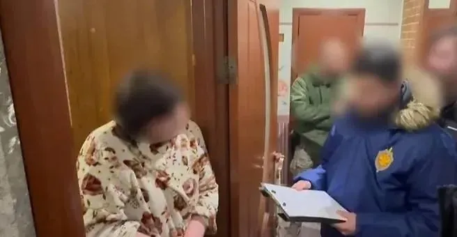 В Кургане задержали пенсионерку за 24 тыс. комментариев с призывами к терроризму